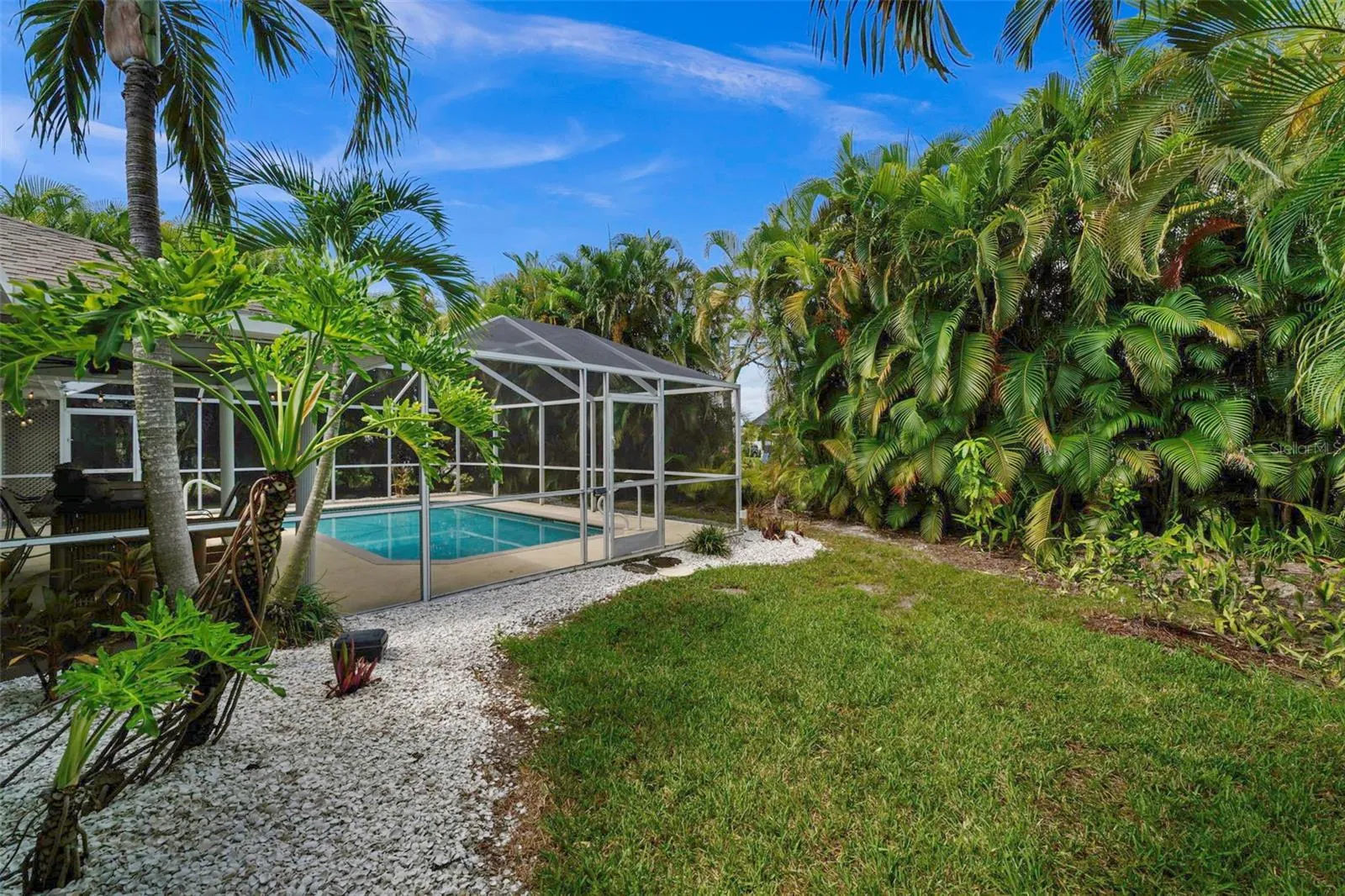 Magical tropical yard