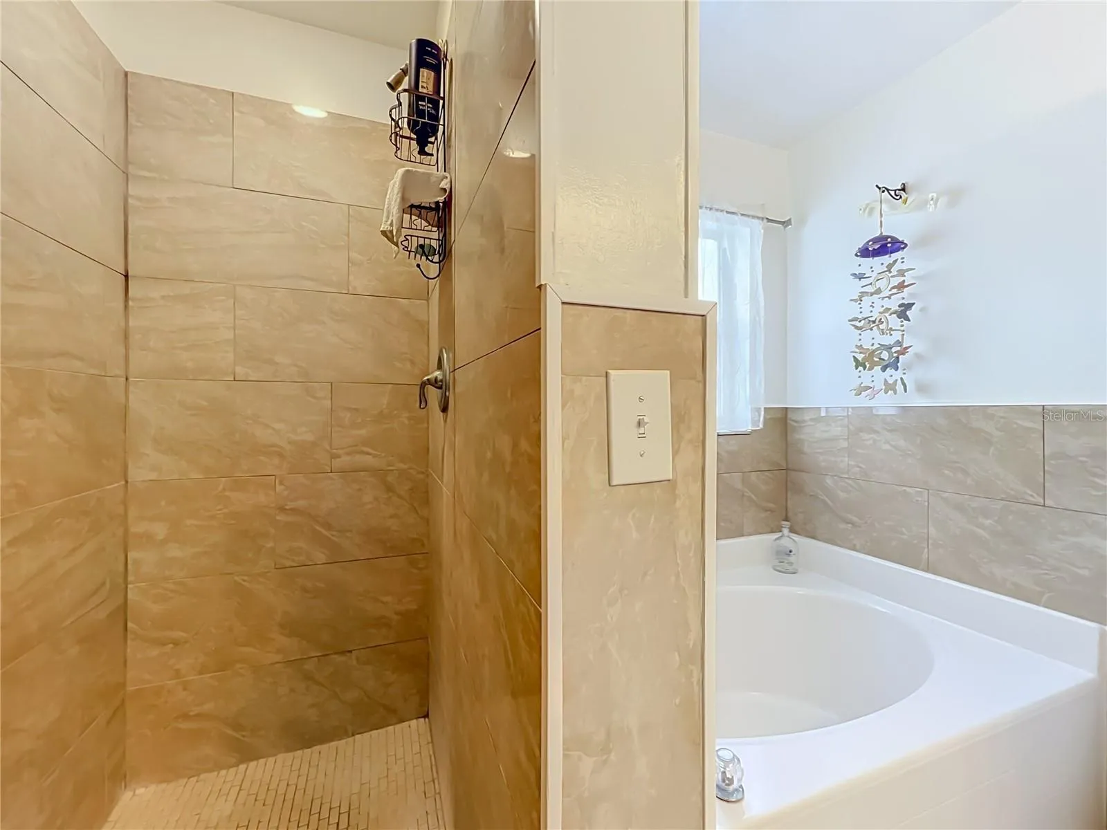 Shower and separate garden tub