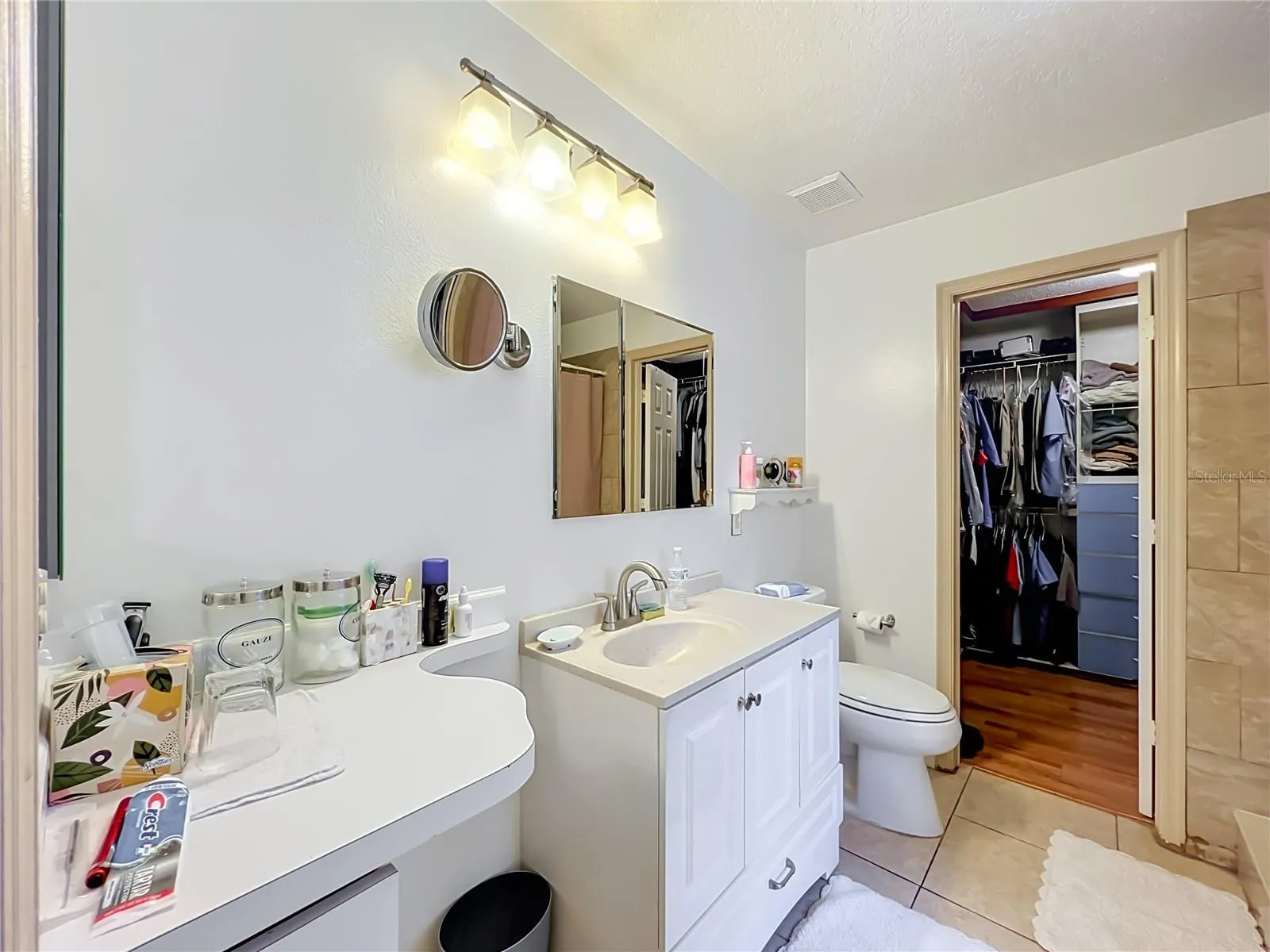 Primary bathroom with vanity, single sink vanity, toilet and walk in closet