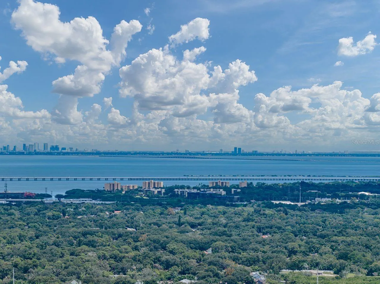 Skyline of downtown Tampa in the distance