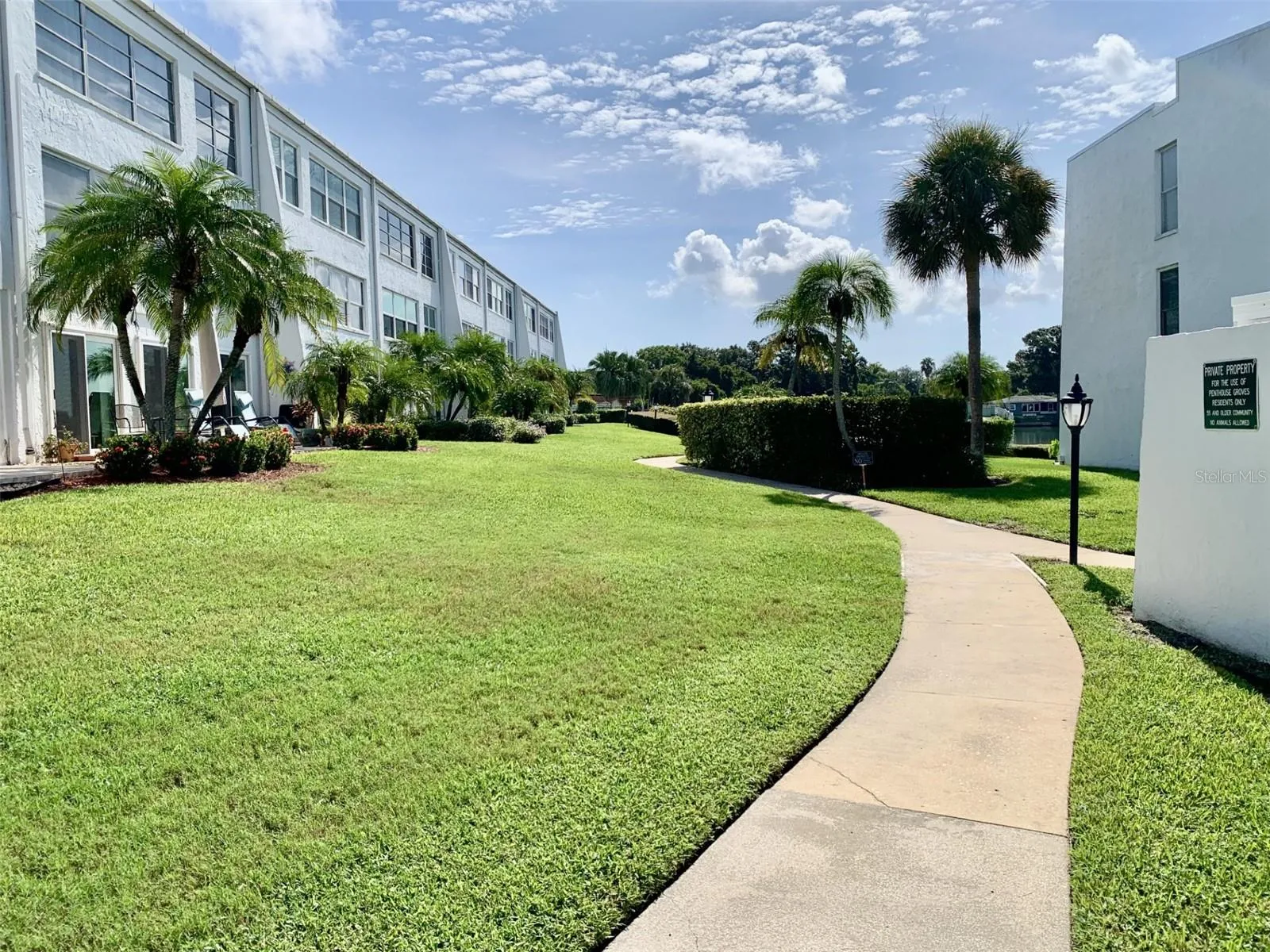 Exceptionally kept landscape