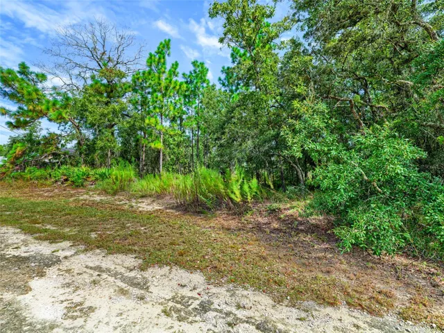 1170