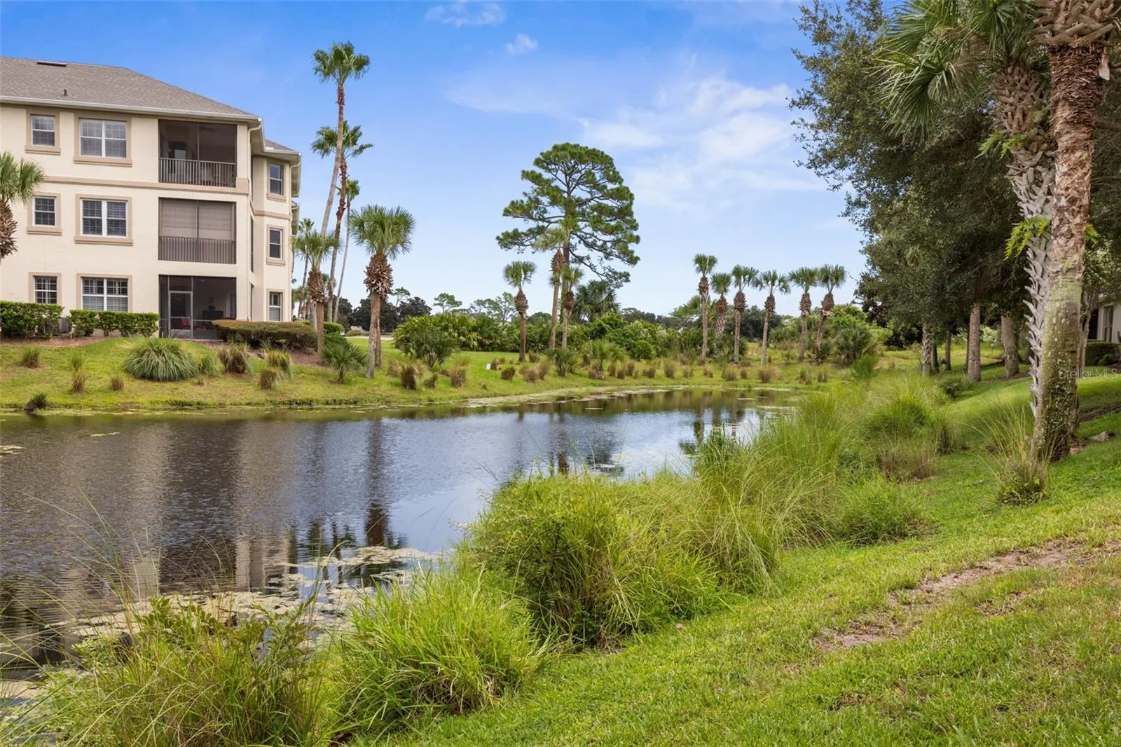 Waterfront View