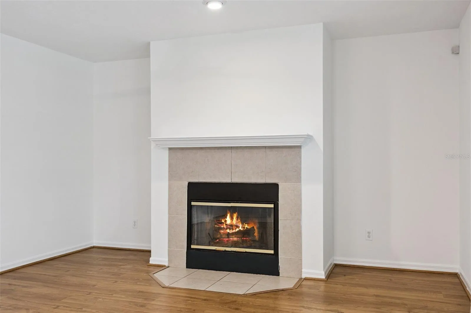 Woodburning fireplace