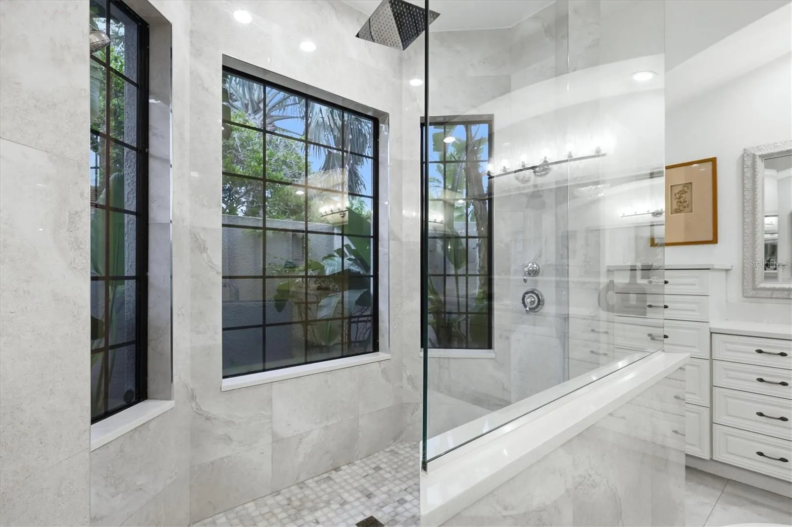 Primary Shower