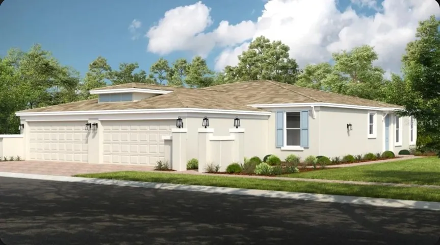 Caicos Rendering