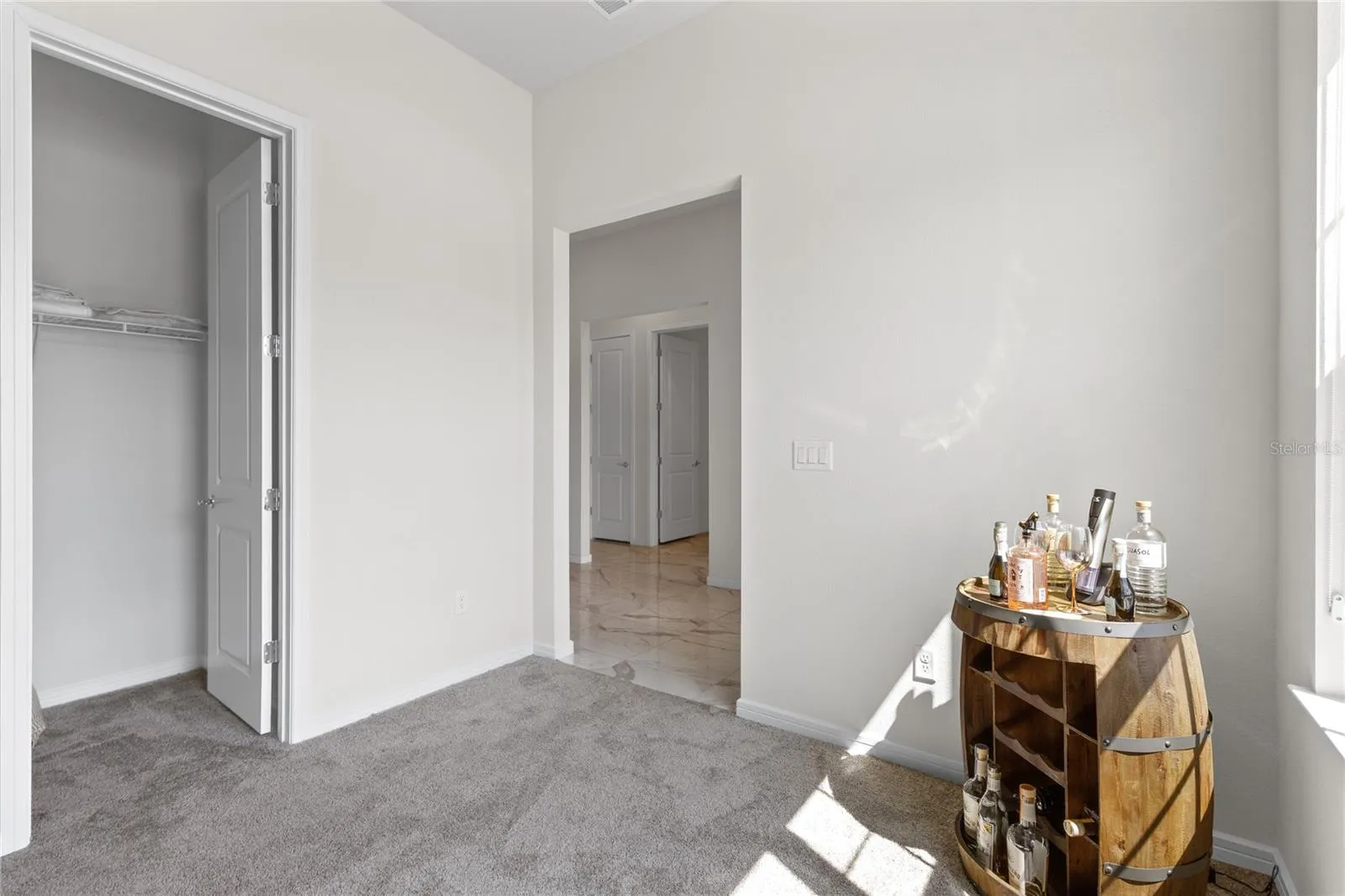 Flex Space/Bonus Room.