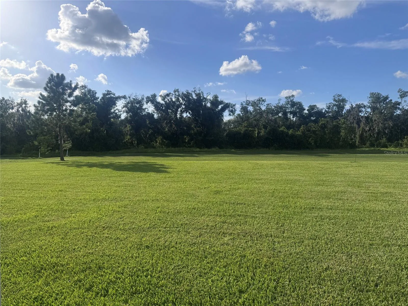 View of the back yard. Feels like an acre. 0.58 Acres