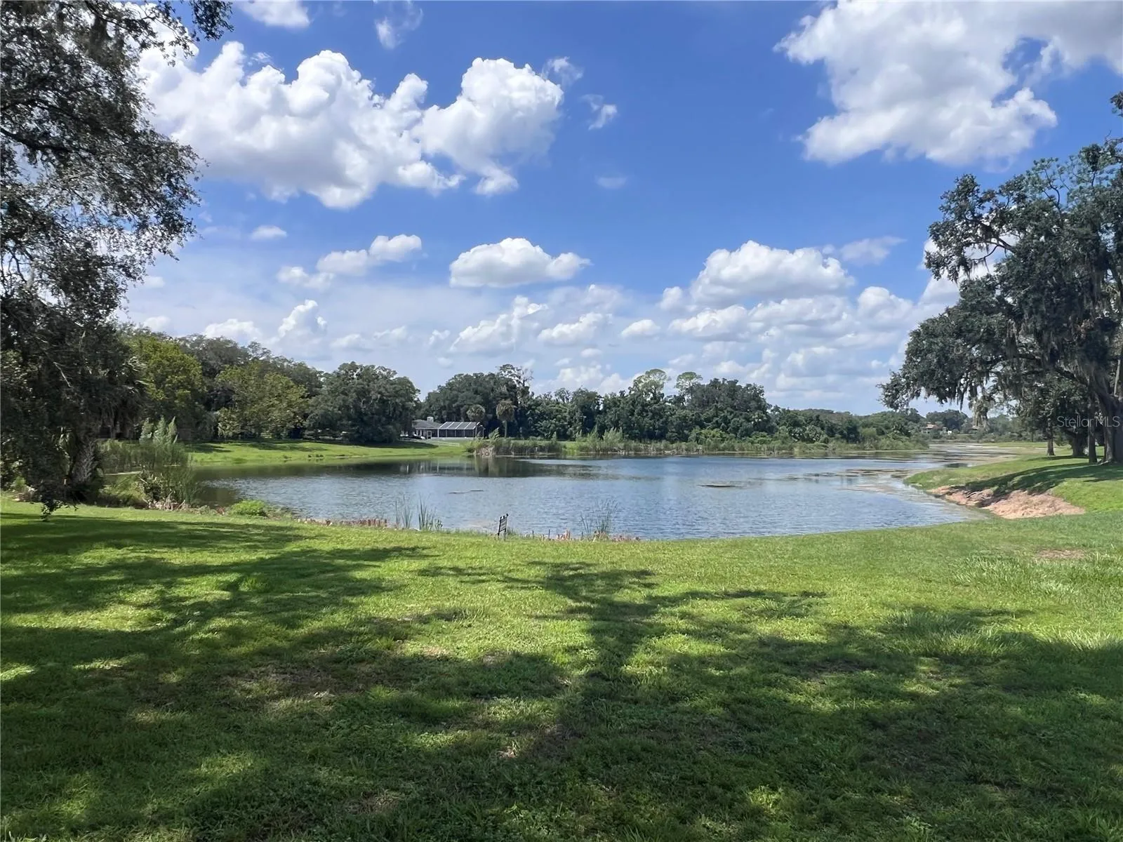 Lake view