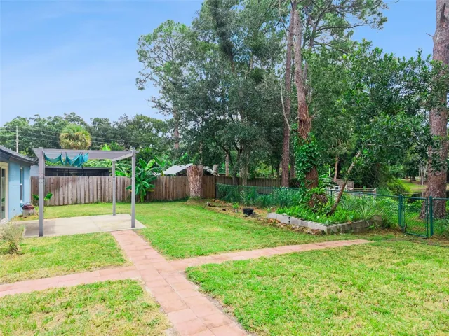FRUIT TREES AND PINEAPPLE PLANTS