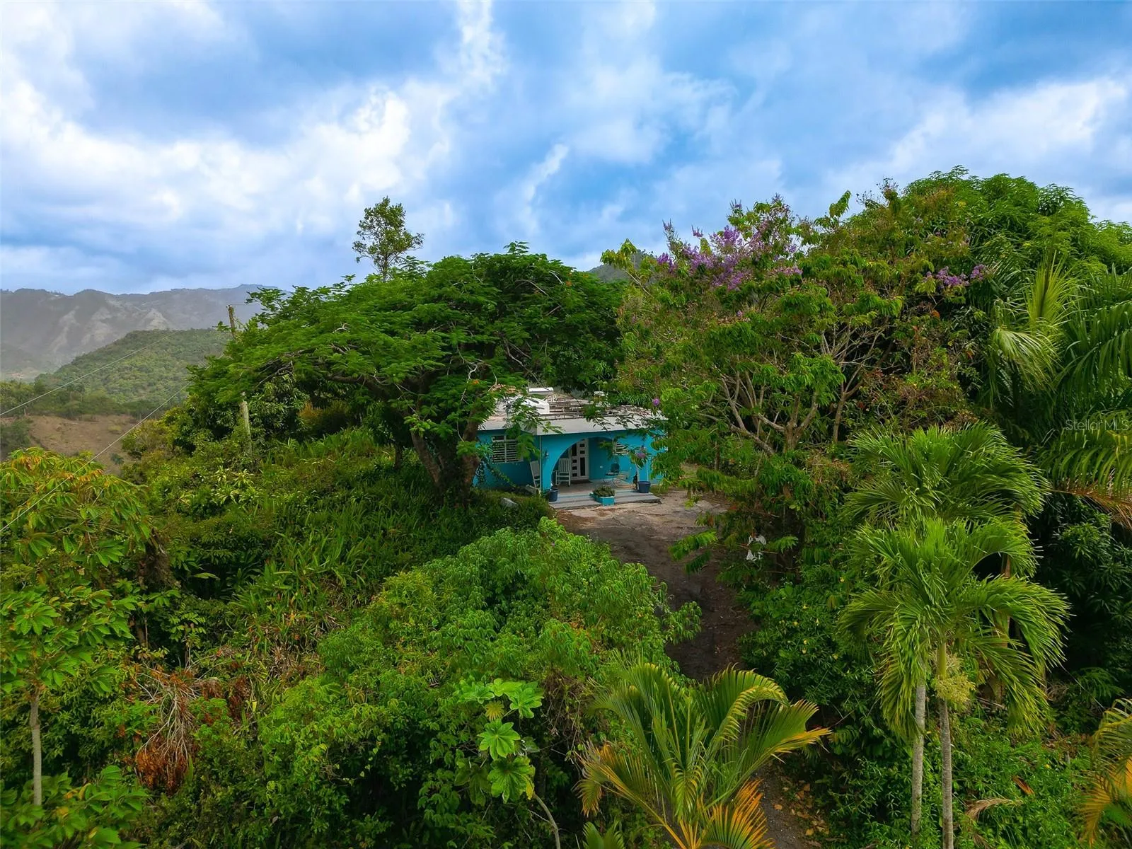 aerial view aerial view