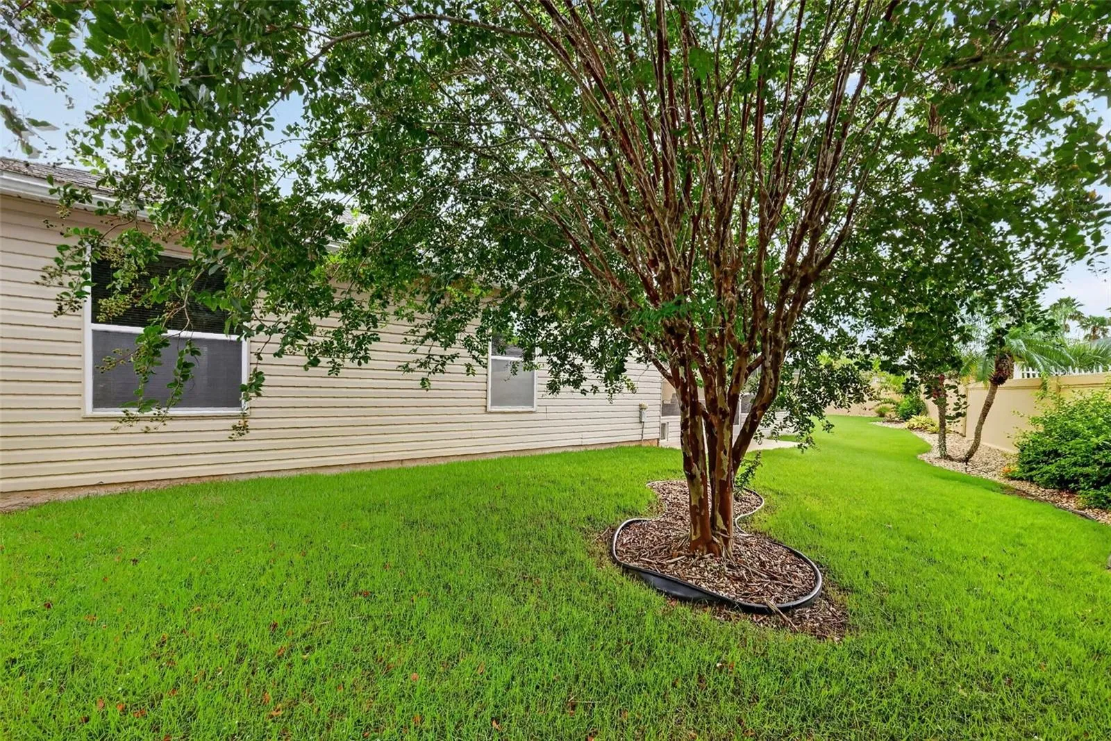 Rear Exterior