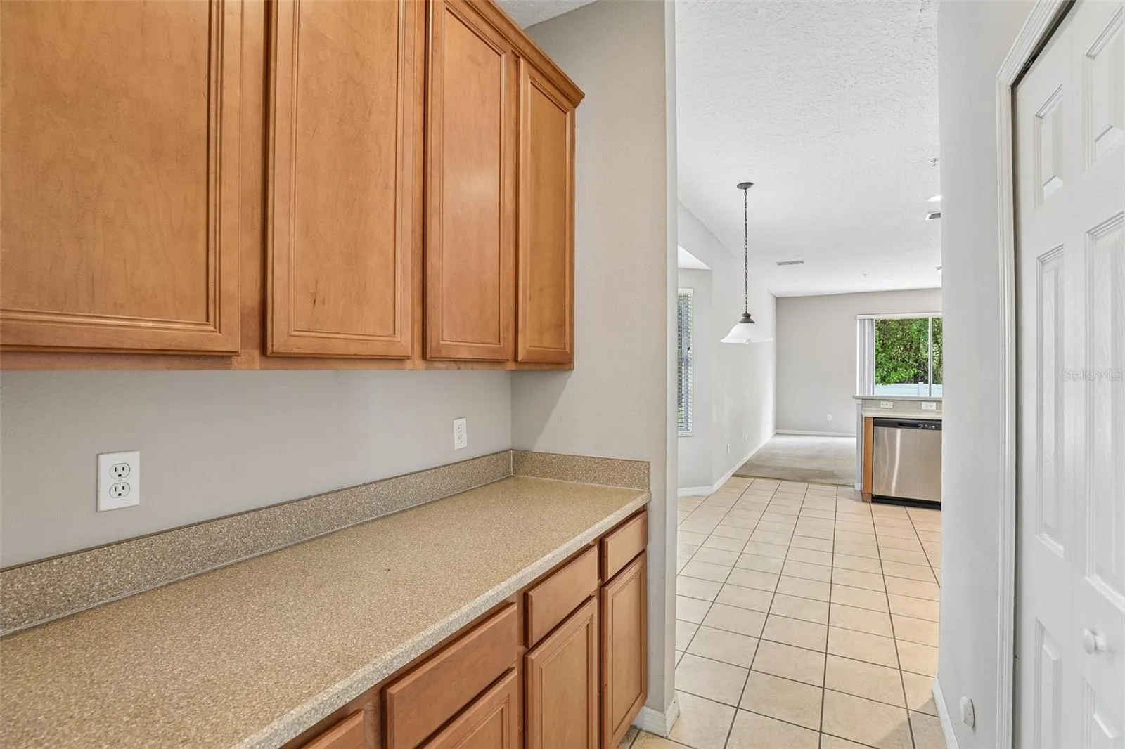 Butler's pantry for additional storage.