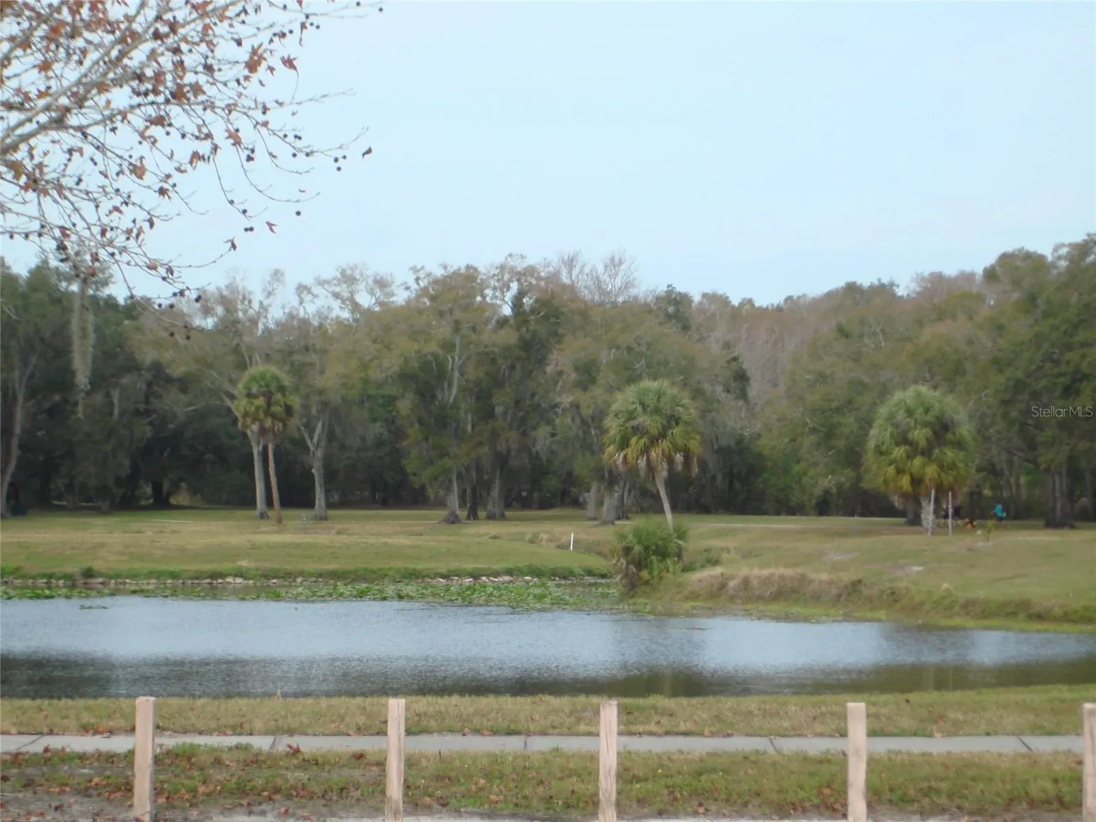 Cliff Stephens Park