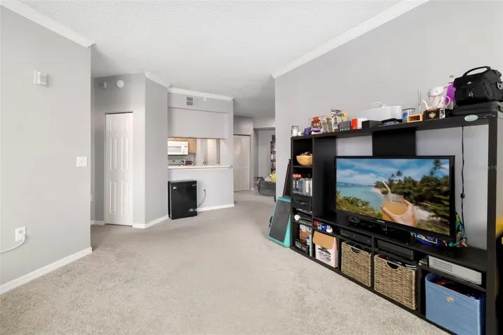Primary Living Space.