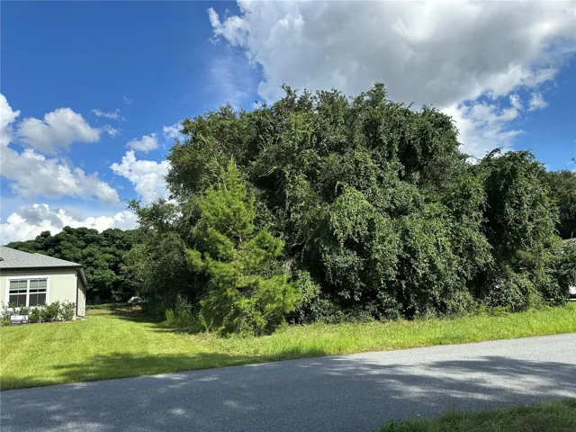 000 SW 128 Pl, Ocala, FL 34473
