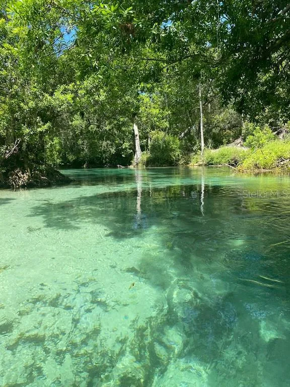 Weeki Wachee River close by