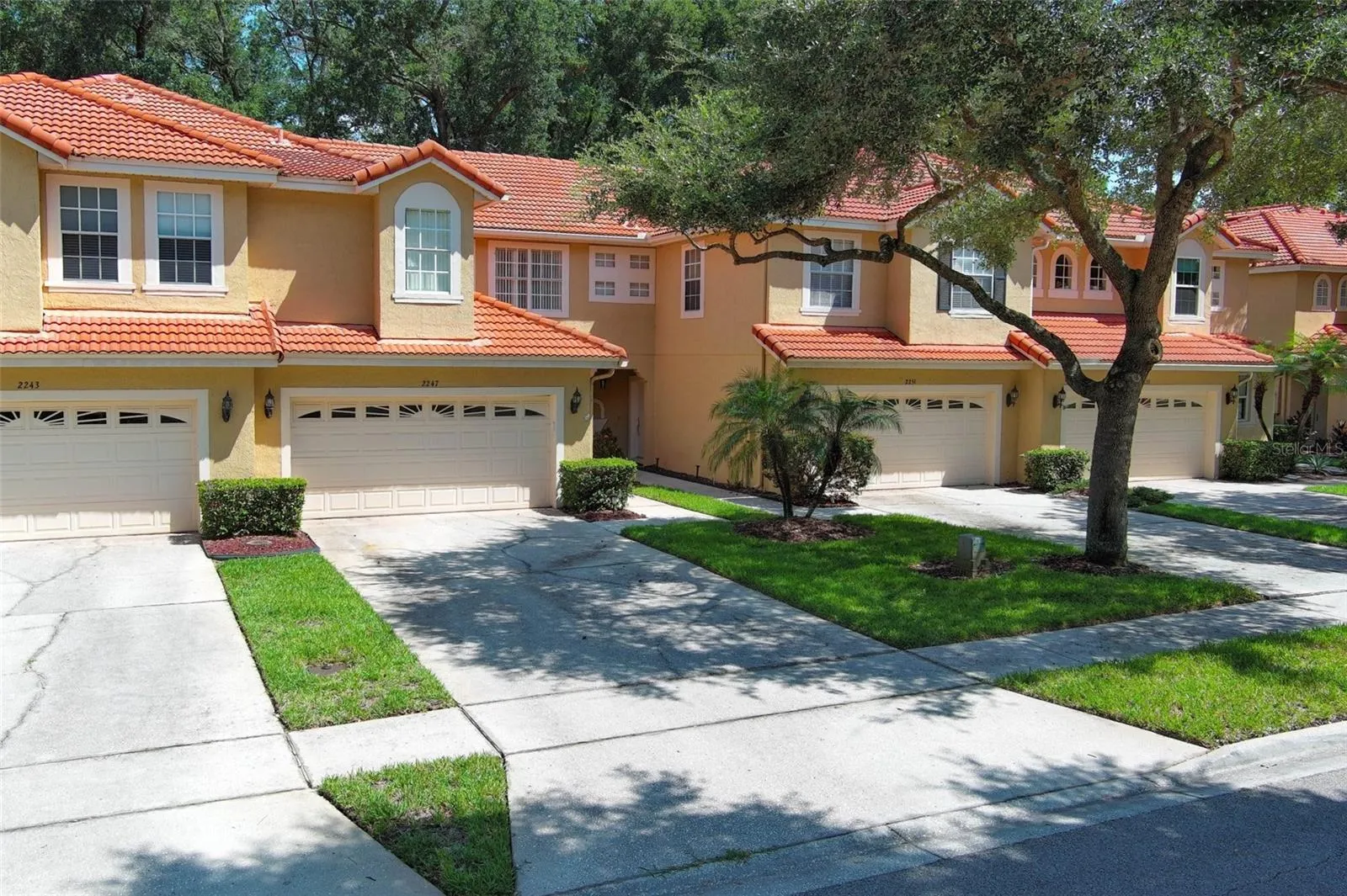 Driveway
