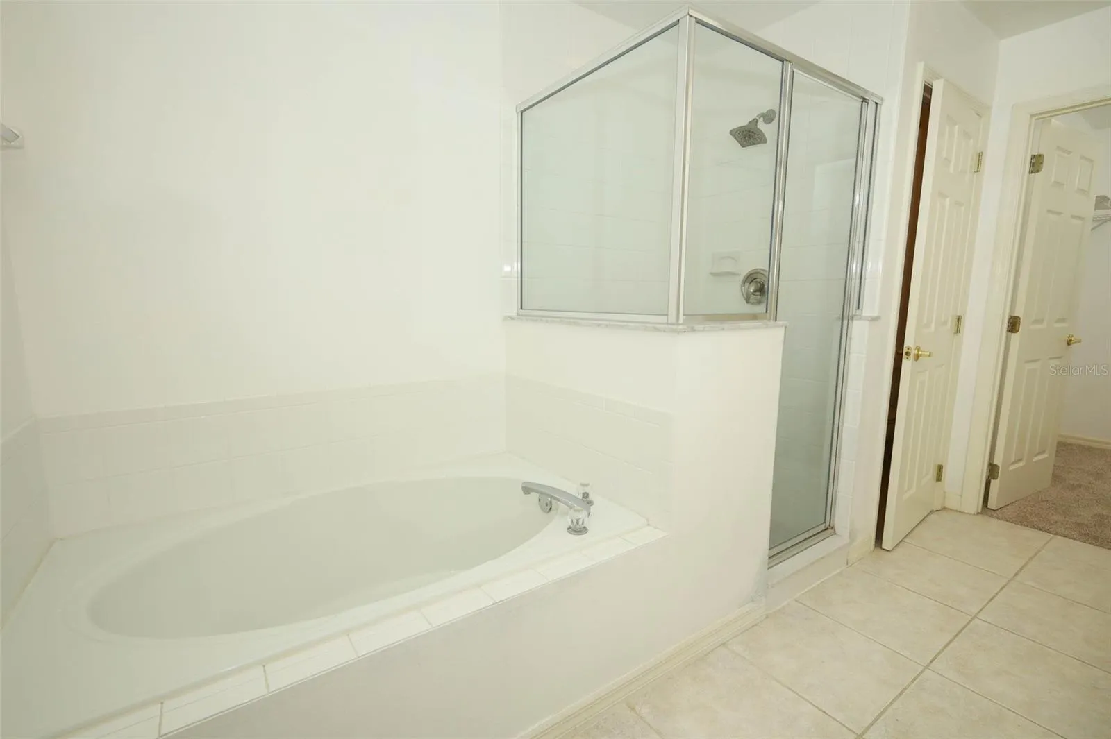 Primary Tub and Shower