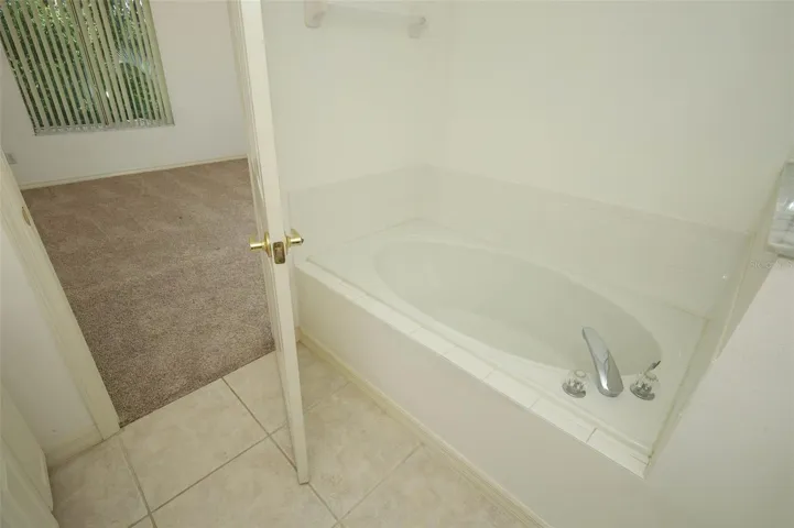Primary Bath View