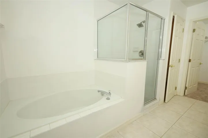 Primary Tub and Shower