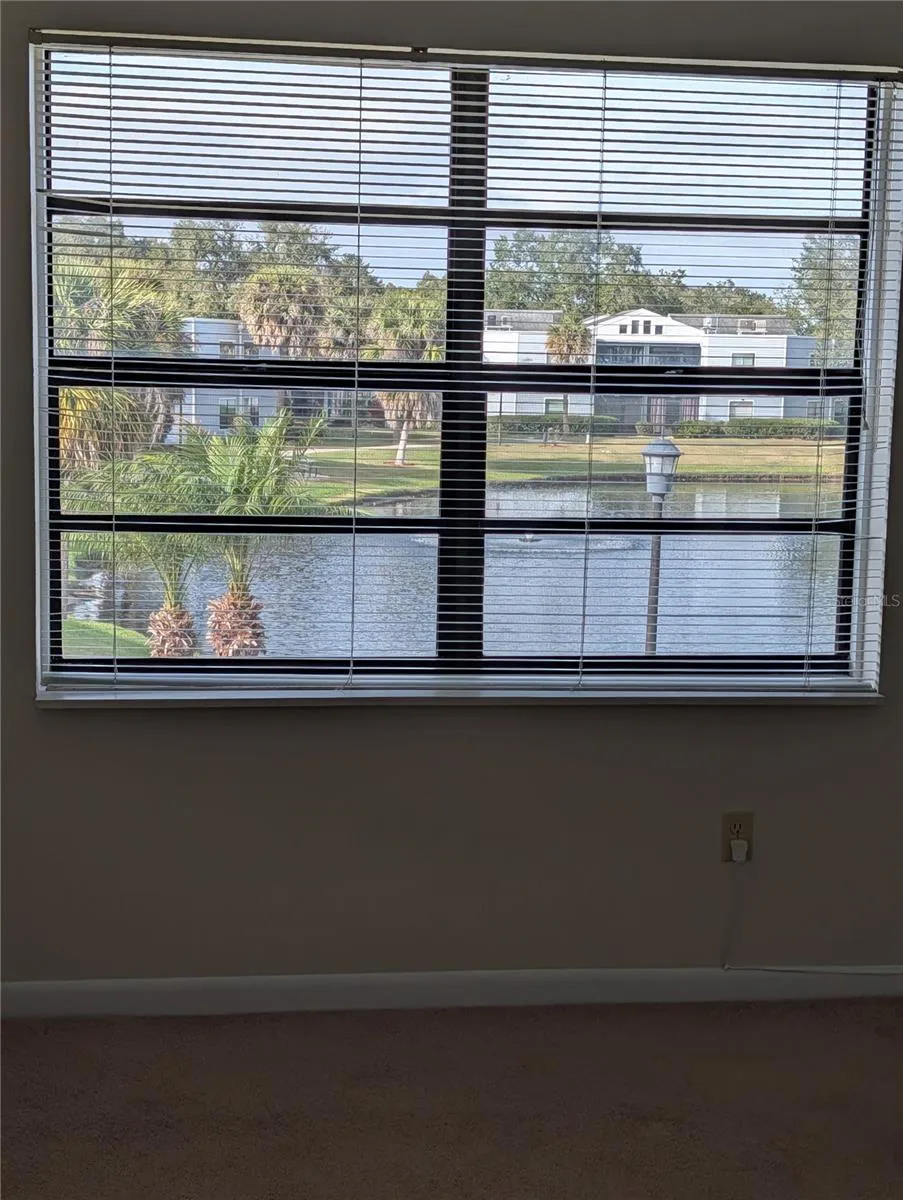 View from Master