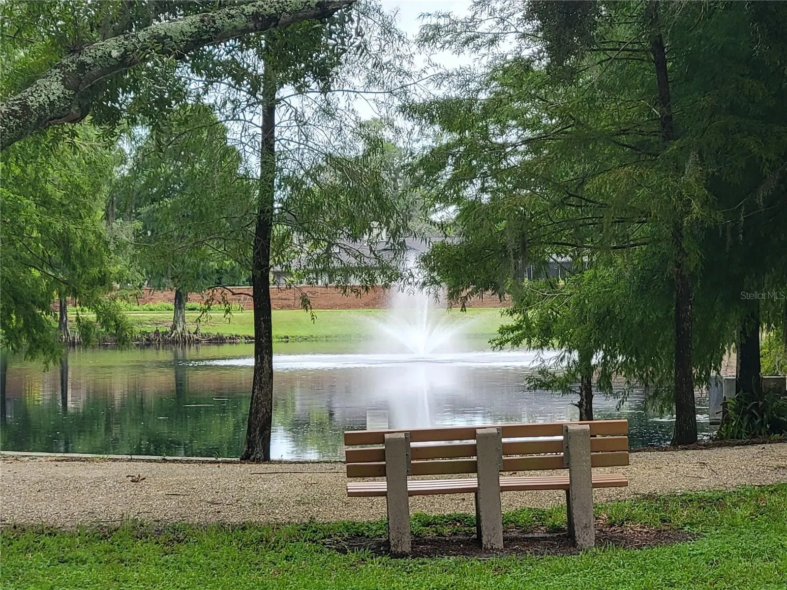 Pond/Walking Trail