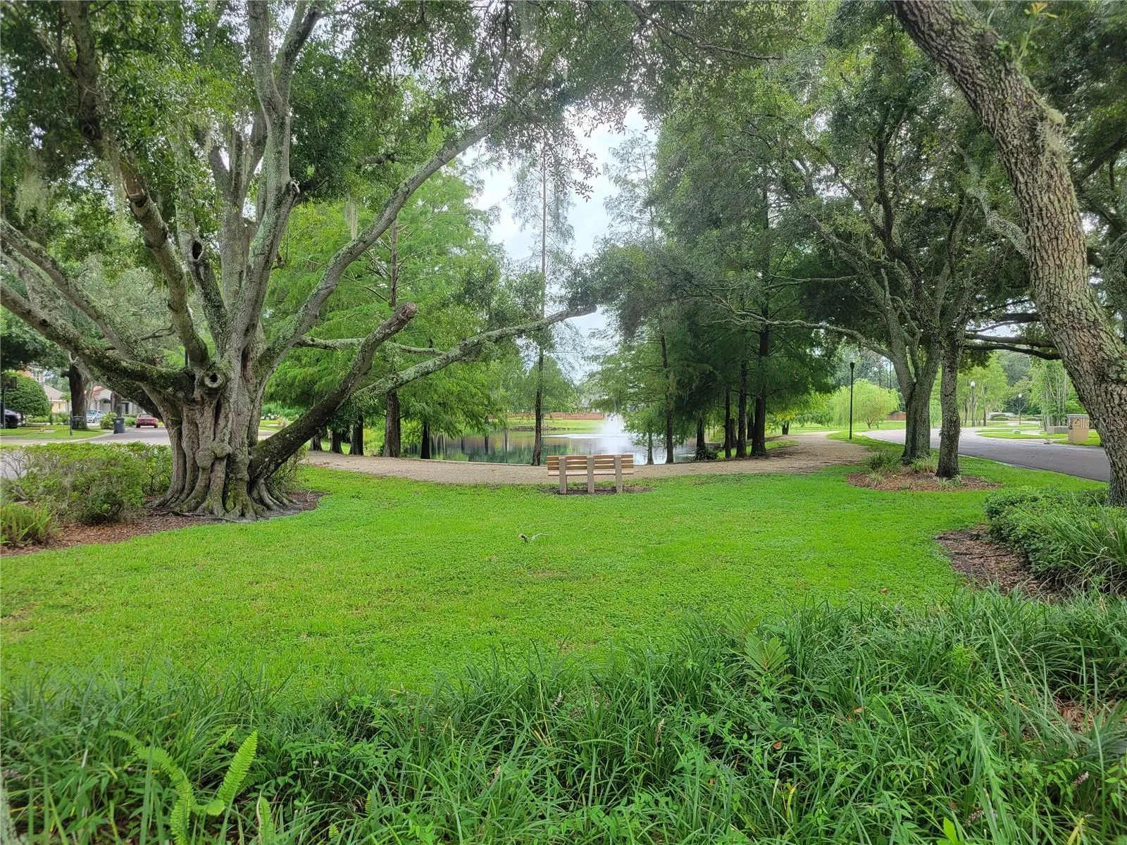 Walking Trail