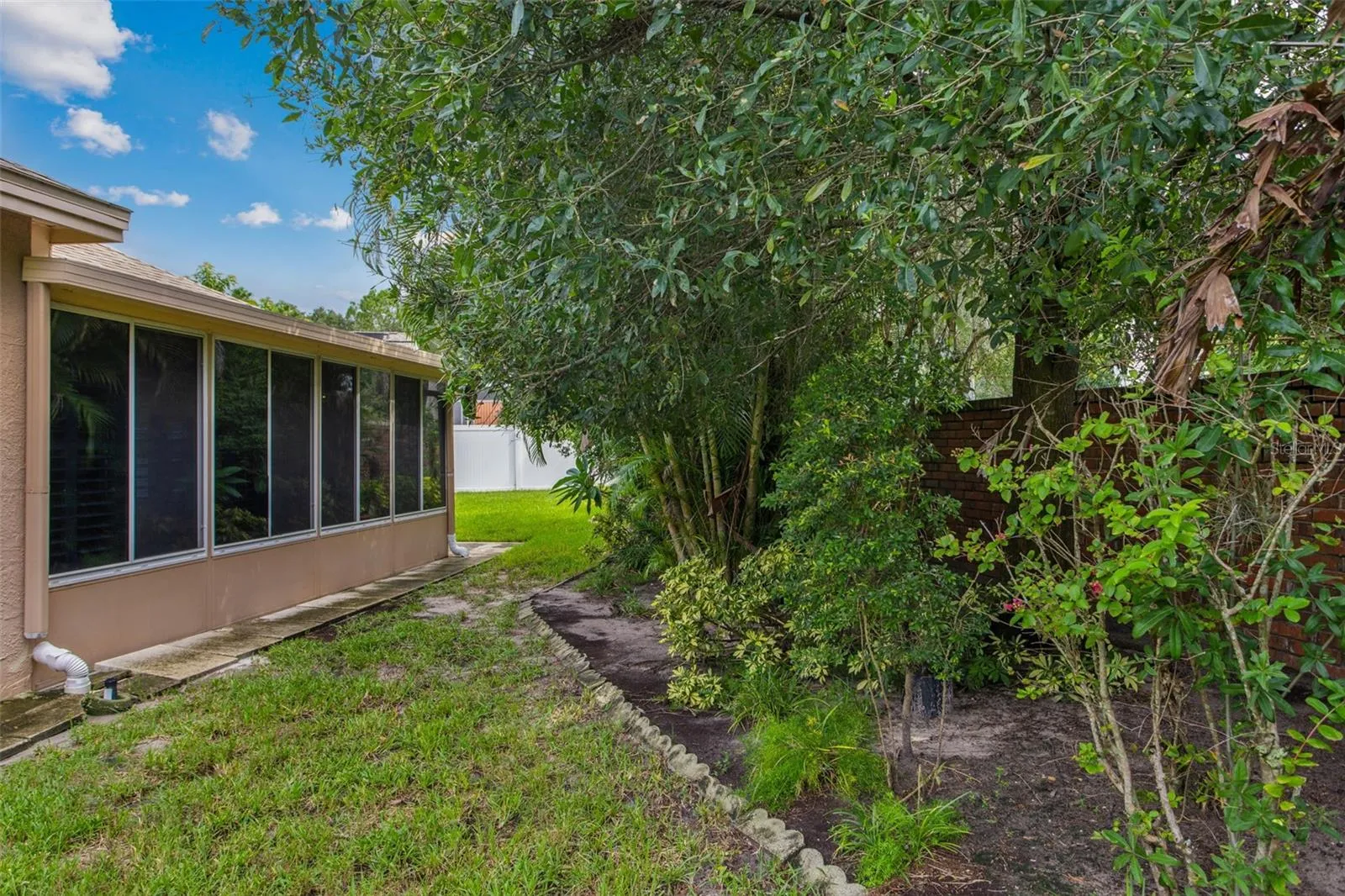 Rear Yard