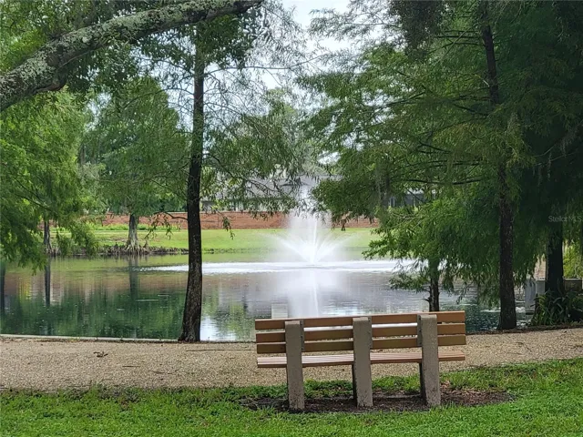 Pond/Walking Trail