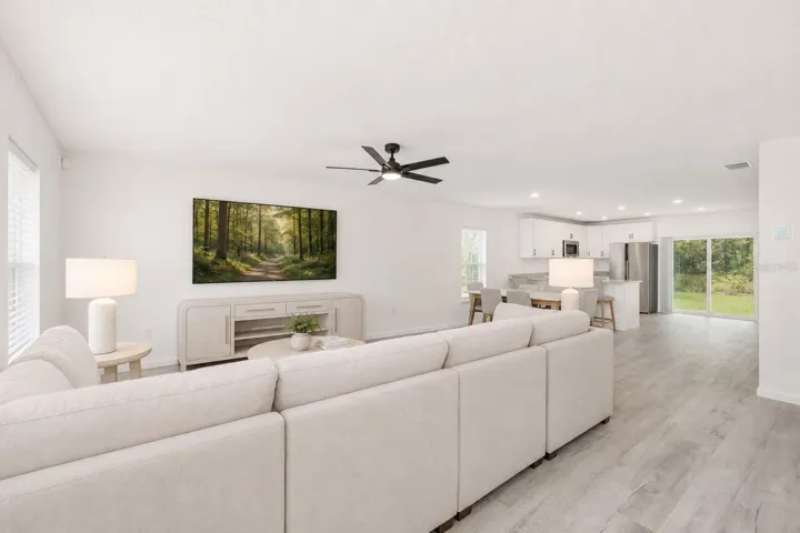 Entrance, living room.