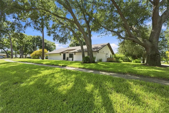 Mature Shade Trees