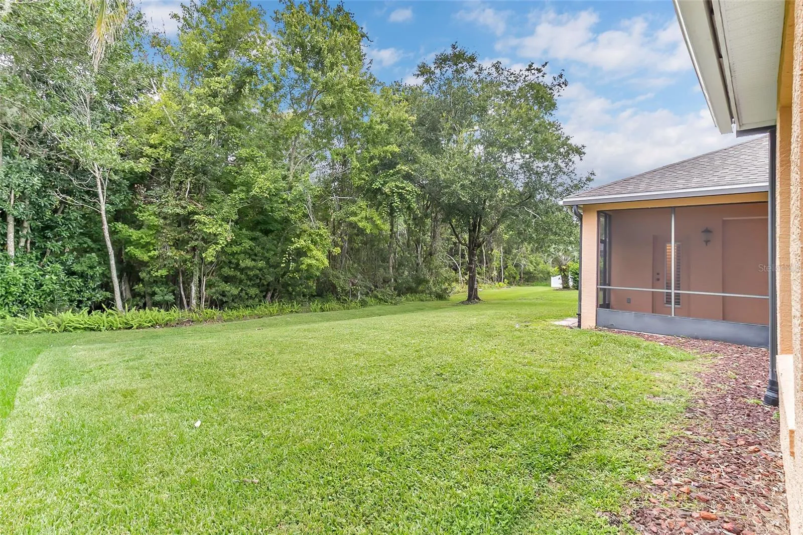 Large Back Yard backs up to conservation. Plenty of room for a pool!