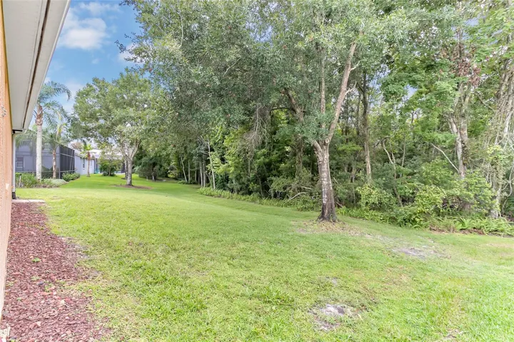 Large Back Yard backs up to conservation. Plenty of room for a pool!