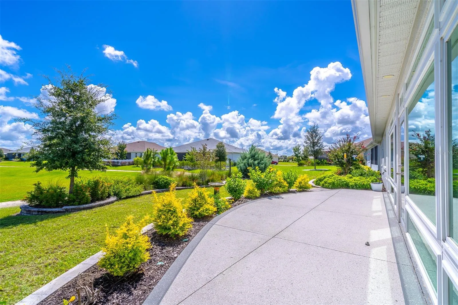 Backyard Patio