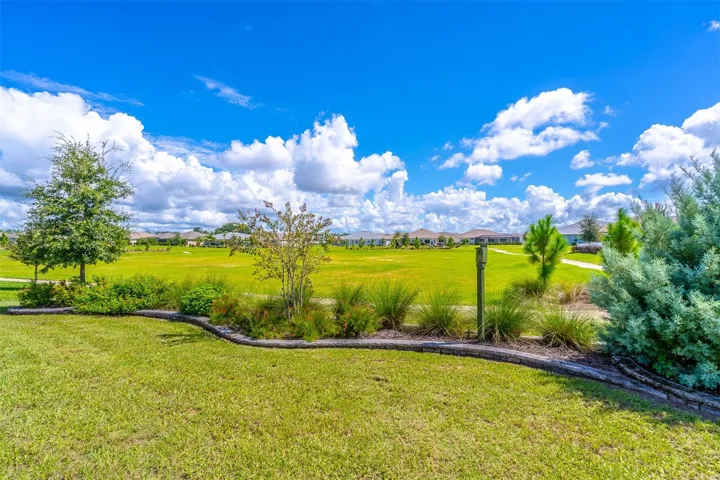 Backyard View