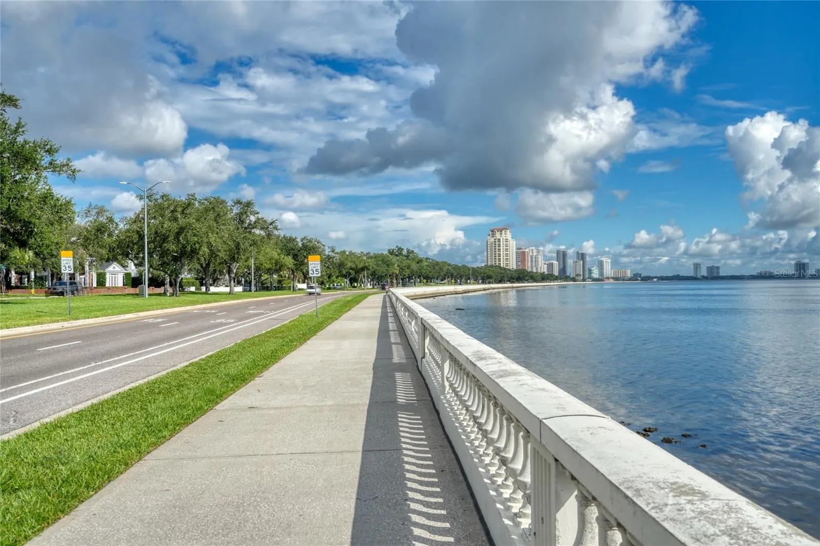 Iconic Bayshore Blvd!!