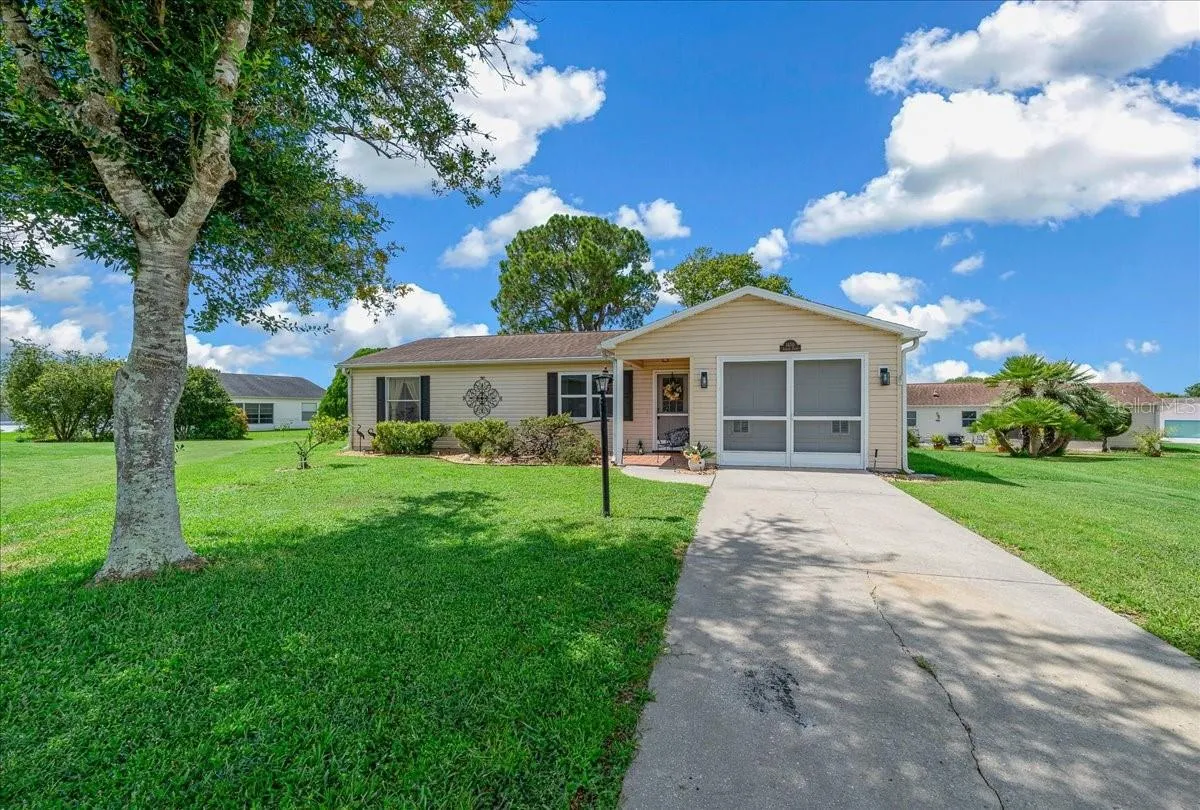 Beautiful Tree Provides Shade in Front Yard