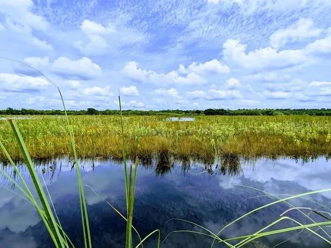 Lake Woodruff