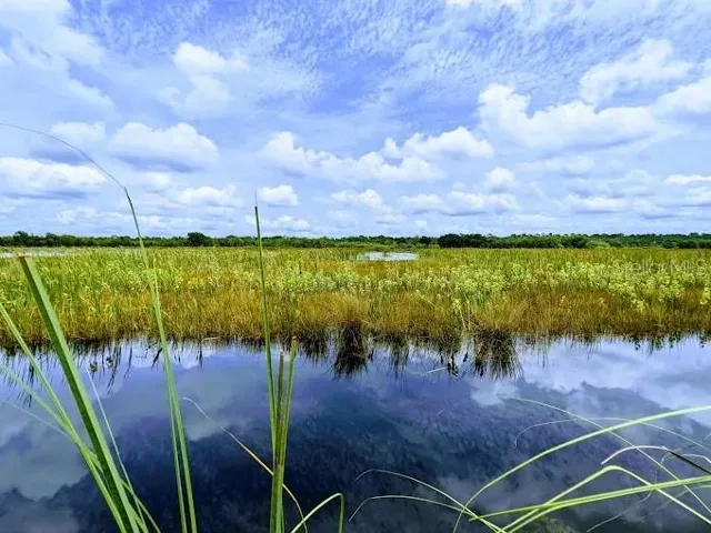 Lake Woodruff