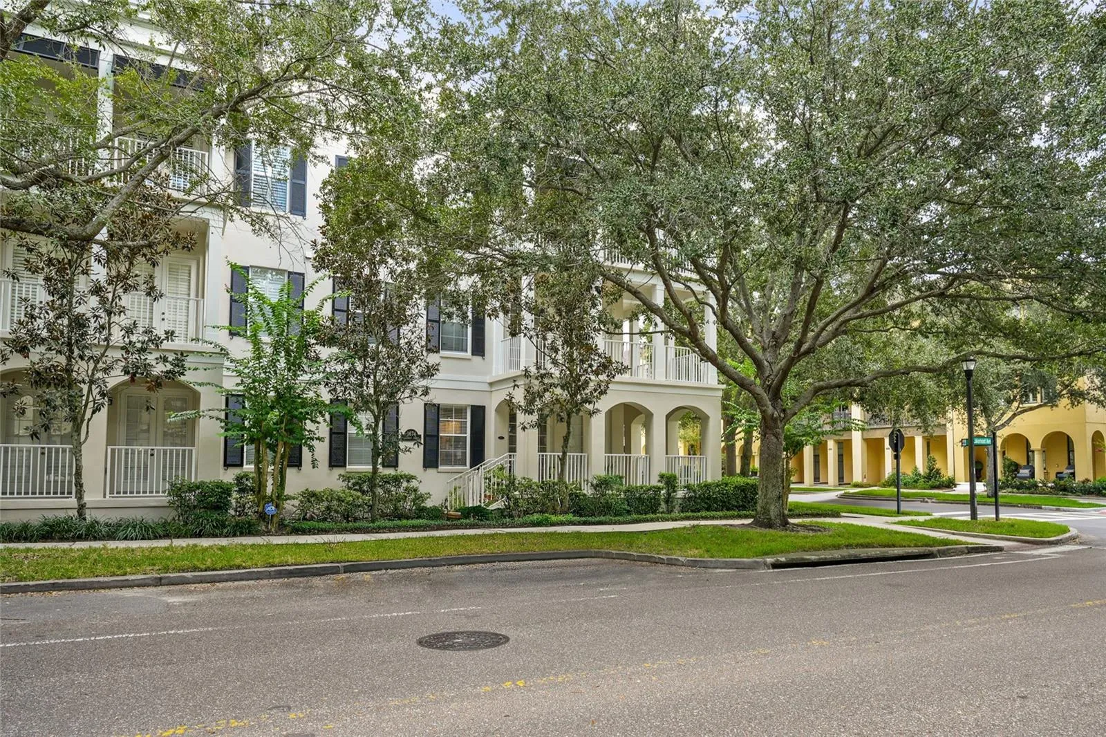 Tree Lined Street