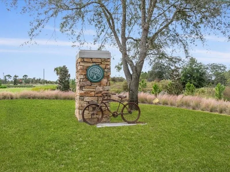 Celebration Entrance