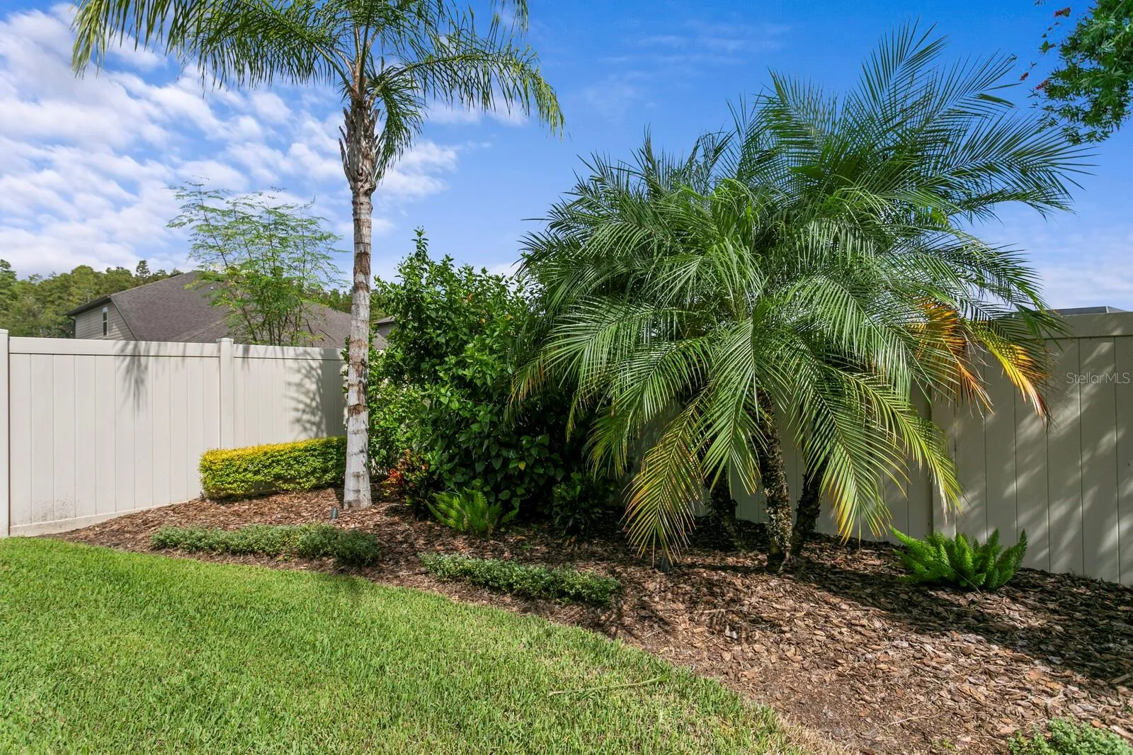 More tropical landscaping in the backyard