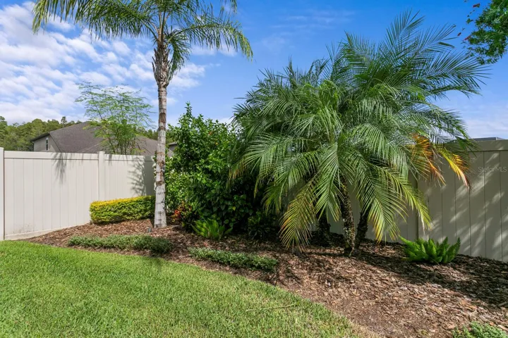 More tropical landscaping in the backyard