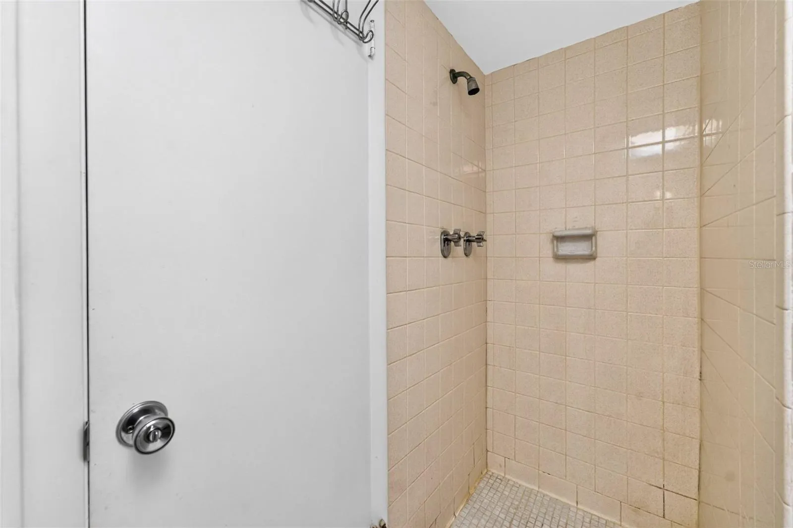Secondary Bathroom walk-in shower