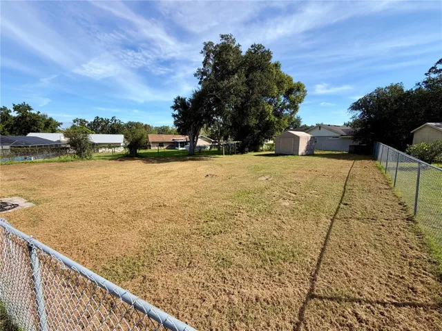Backyard