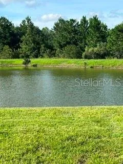 Lakefront Waterfront - Adjacent to Wooded Area. No Backyard Neighbors.