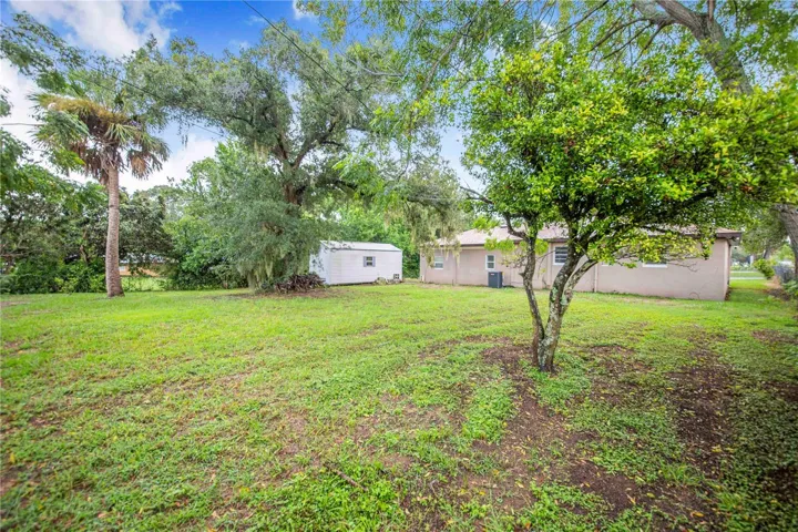Back Yard and Shed