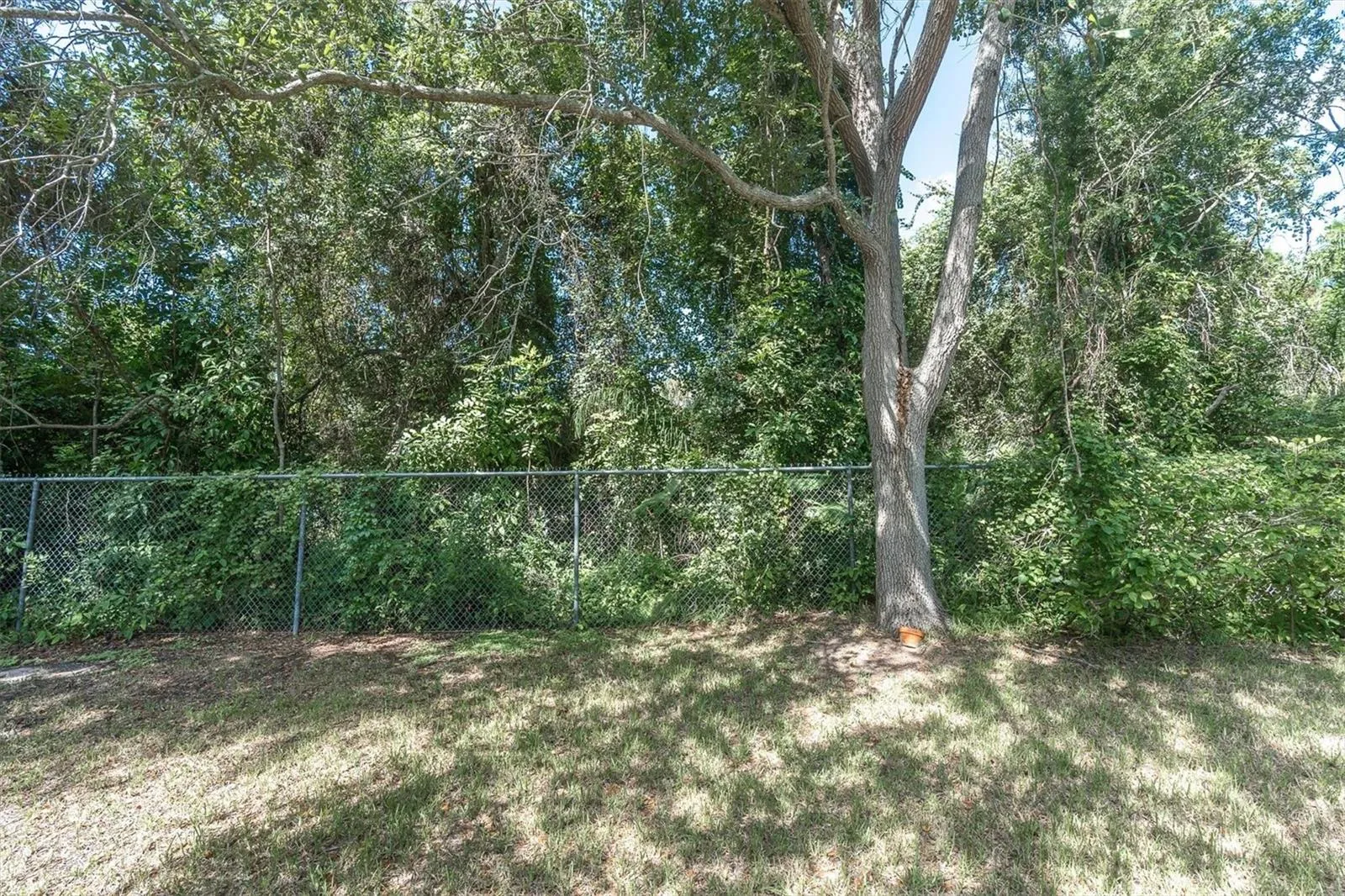 Backyard facing conservation area