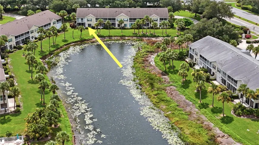 Aerial view (note arrow to waterfront condo)